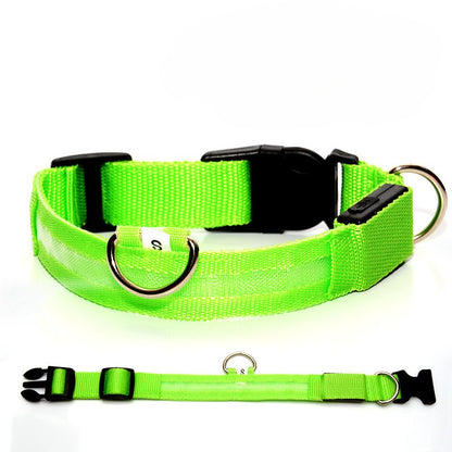 RoyalTails GlowGuard LED-Halsband