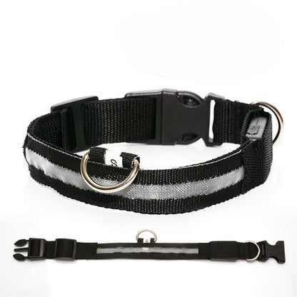 RoyalTails GlowGuard LED-Halsband
